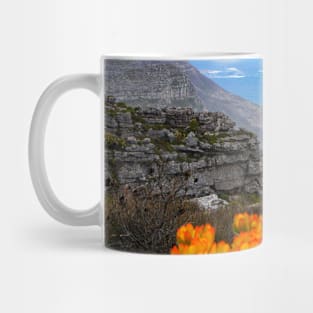 View from Table Mountain, Cape Town, South Africa Mug